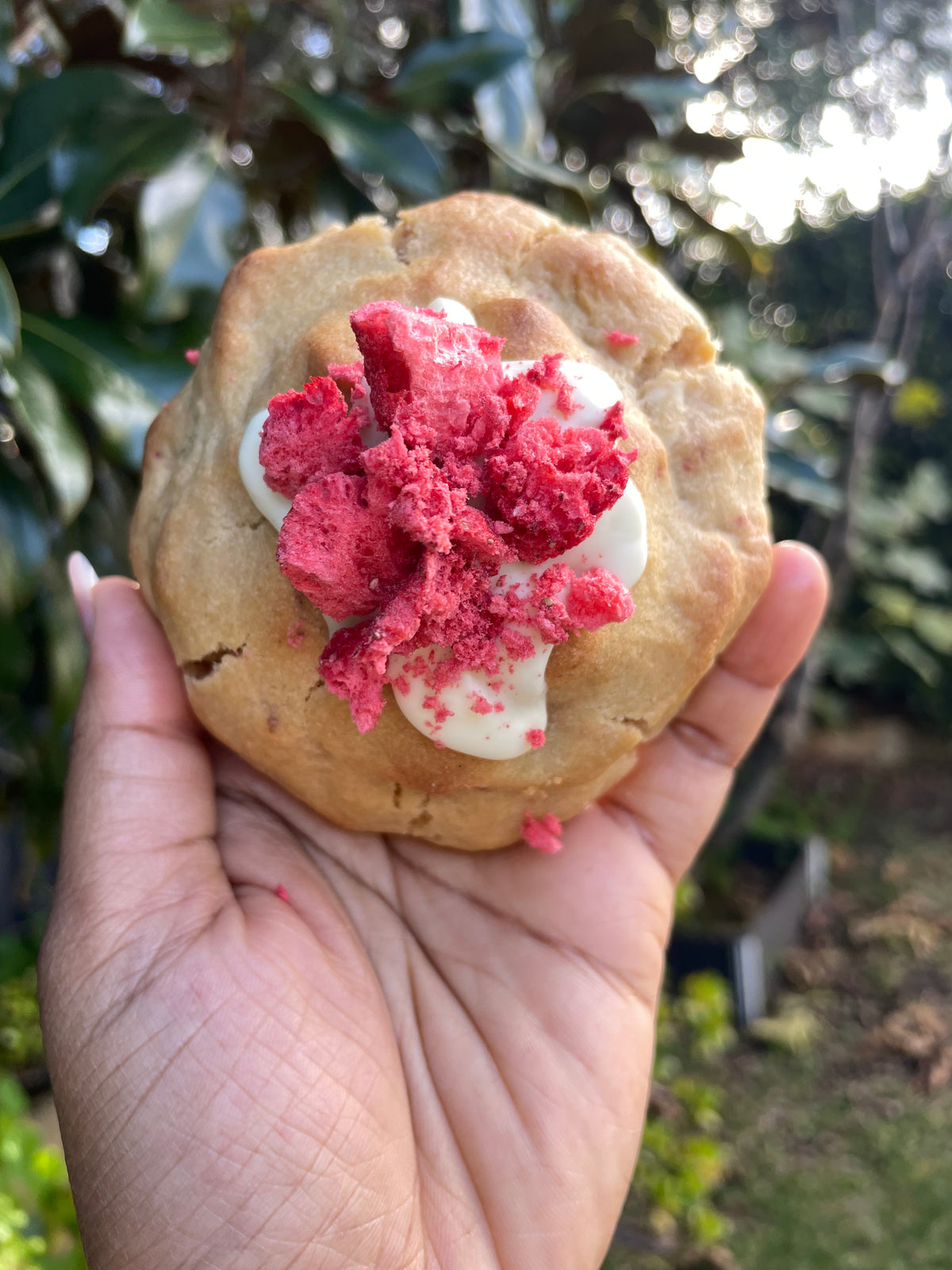 Gluten Free Strawberry and White Chocolate Cookie