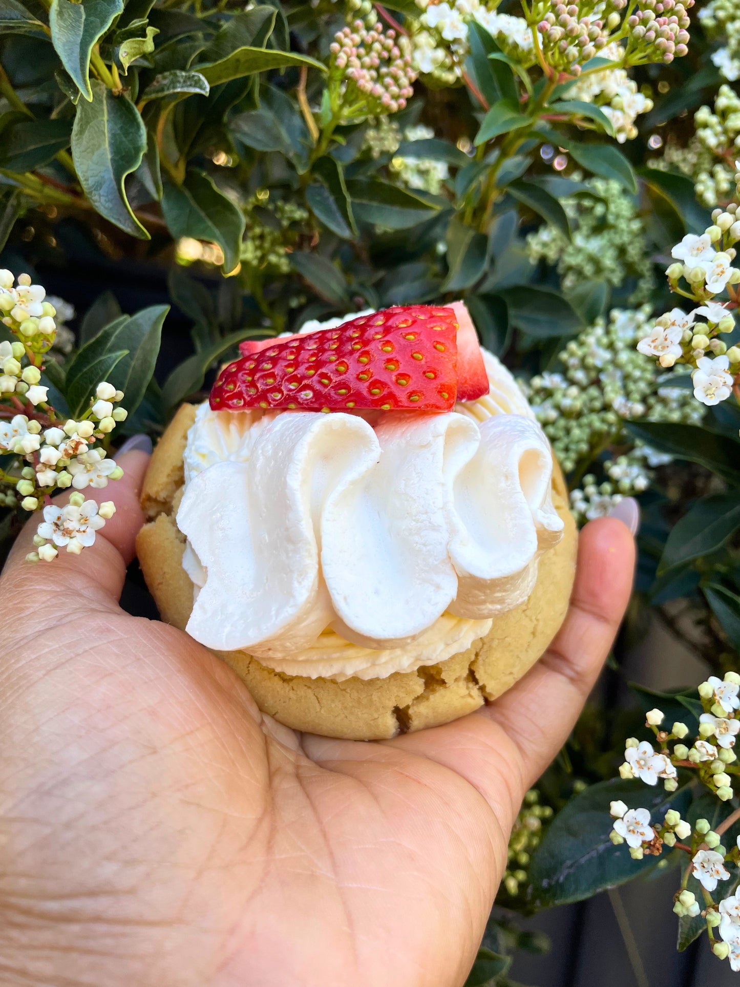 Pavlova Cookie