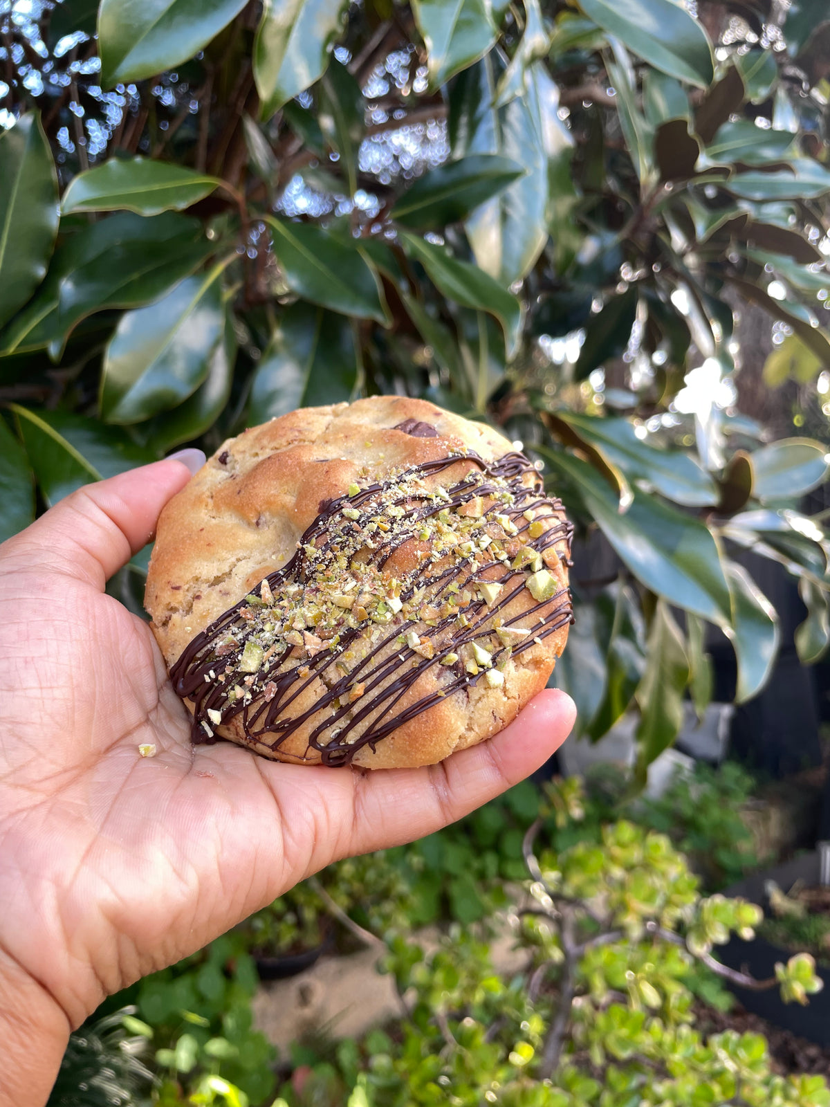 Dark Chocolate & Pistachio Cookie